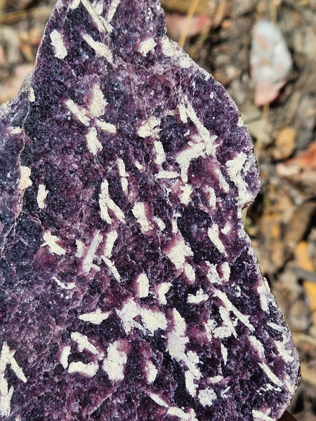 Polished Lepidolite  LEP233