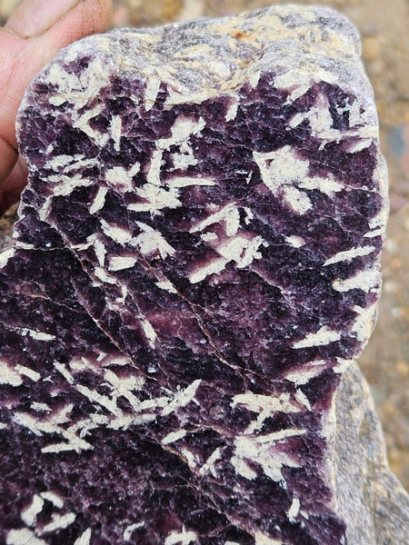 Polished Lepidolite  LEP233