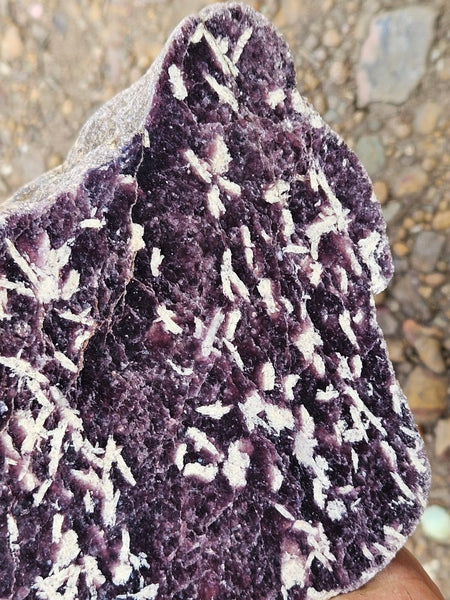 Polished Lepidolite  LEP233