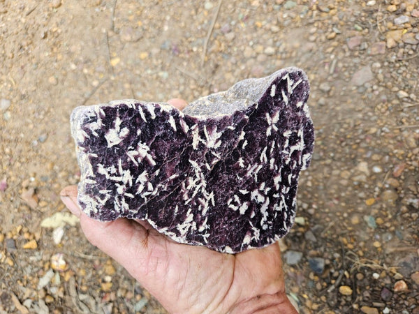 Polished Lepidolite  LEP233
