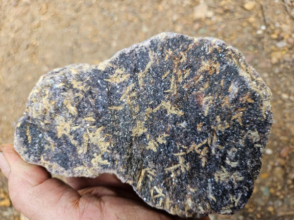 Polished Lepidolite  LEP233