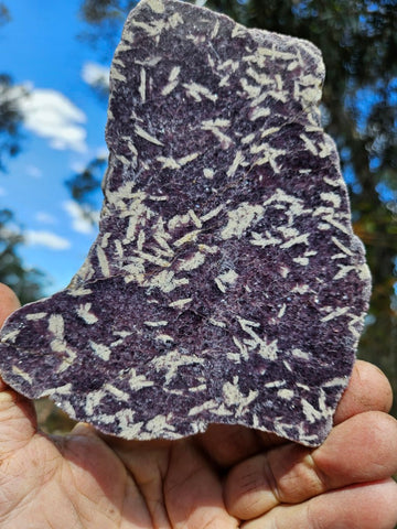 Polished Lepidolite slab LEP232