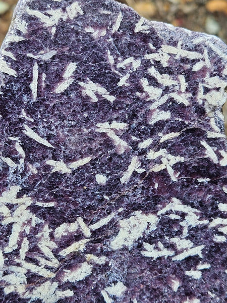 Polished Lepidolite slab LEP232