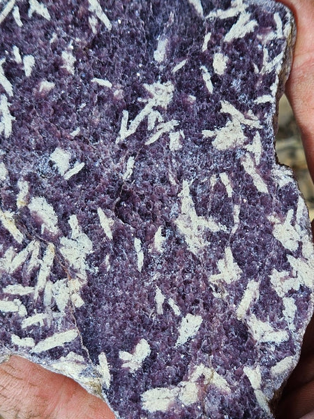 Polished Lepidolite slab LEP232