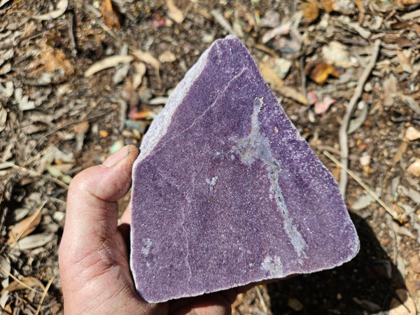 Polished Lepidolite  LEP234