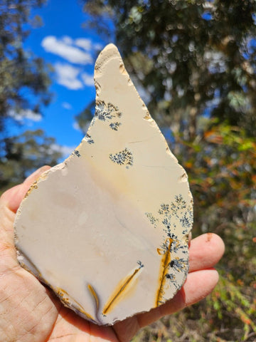 Polished Dendritic Mookaite MK572