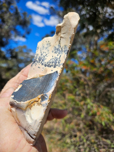 Polished Dendritic Mookaite MK572