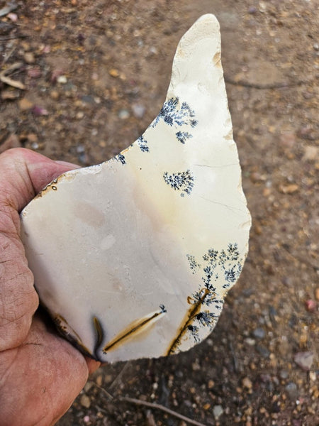 Polished Dendritic Mookaite MK572