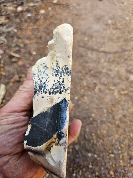 Polished Dendritic Mookaite MK572