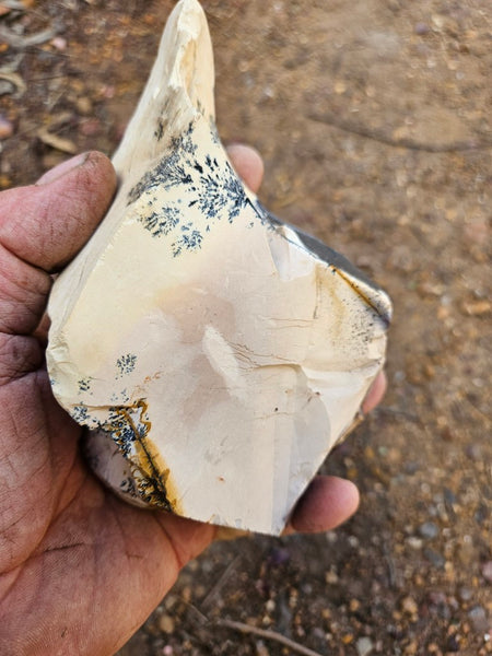 Polished Dendritic Mookaite MK572