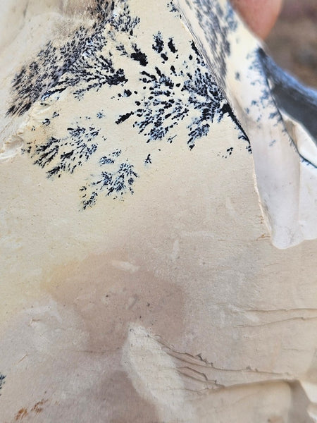 Polished Dendritic Mookaite MK572