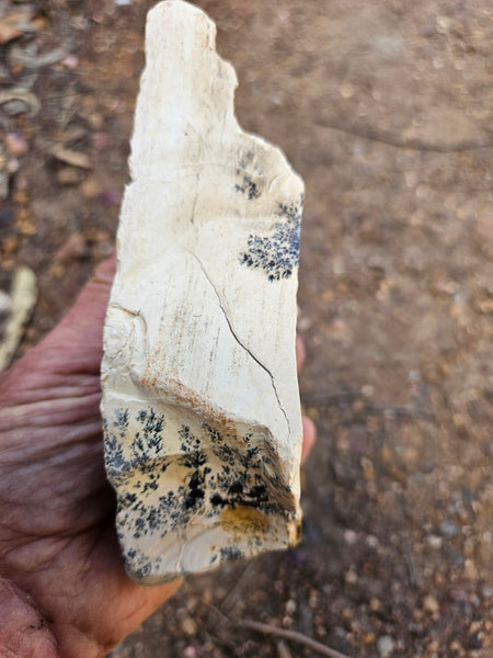 Polished Dendritic Mookaite MK572