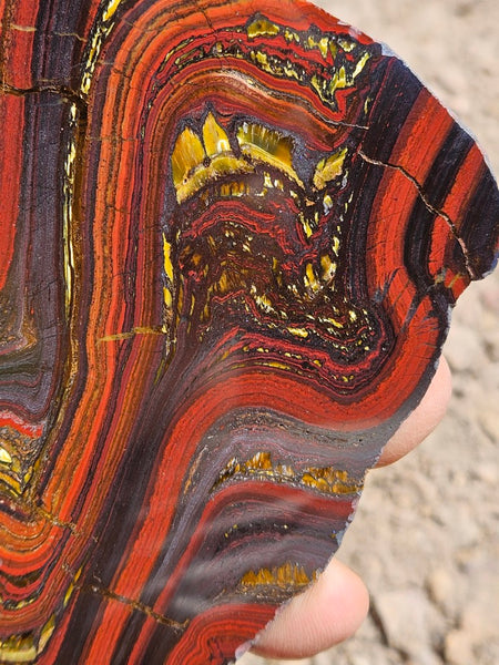 Polished Tiger Iron slab TI385