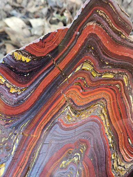 Polished Tiger Iron slab TI385