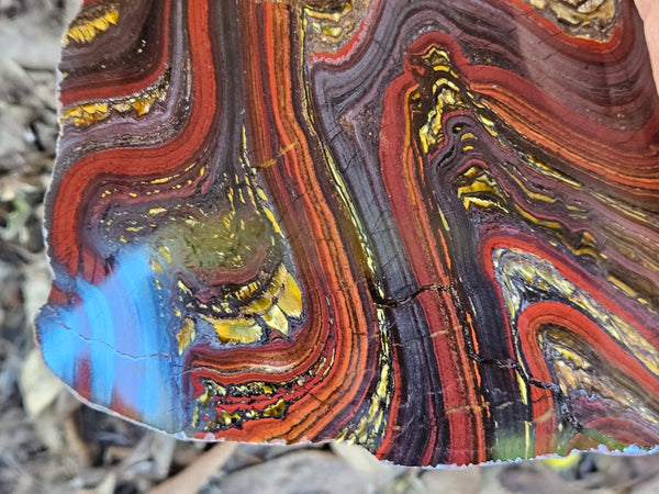 Polished Tiger Iron slab TI385