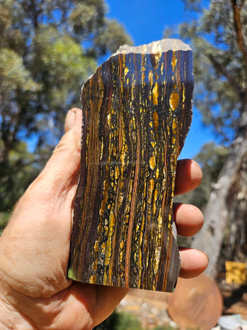 Polished Tiger Iron  TI386