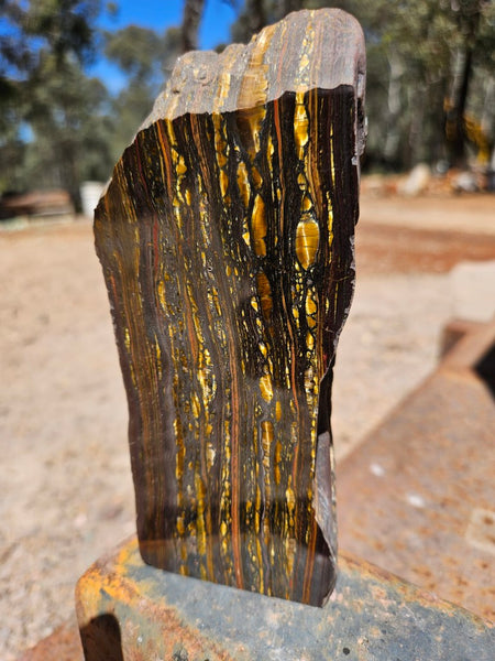 Polished Tiger Iron  TI386