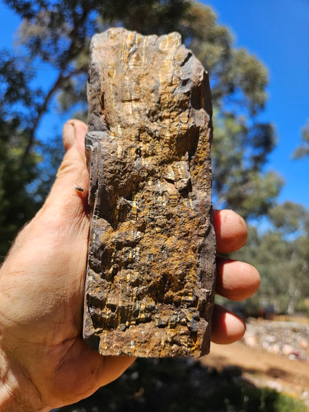 Polished Tiger Iron  TI386