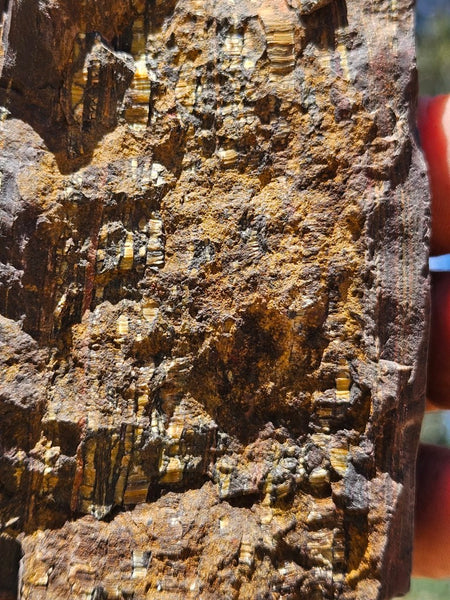 Polished Tiger Iron  TI386