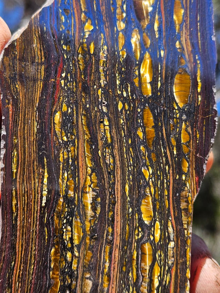 Polished Tiger Iron  TI386