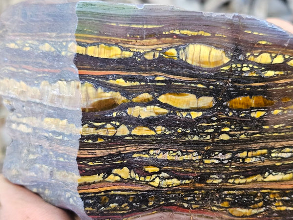 Polished Tiger Iron  TI386