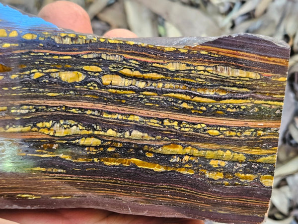 Polished Tiger Iron  TI386