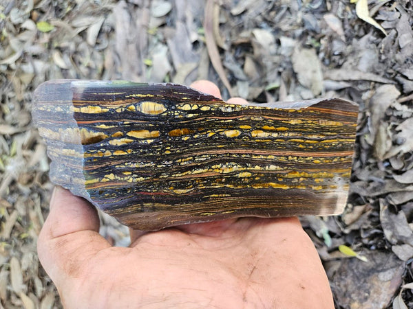 Polished Tiger Iron  TI386