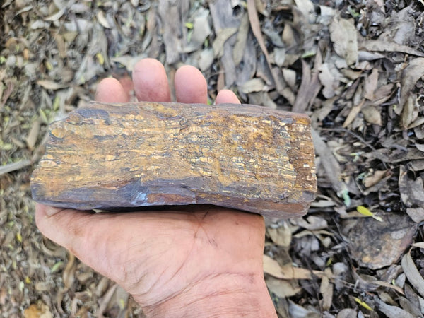 Polished Tiger Iron  TI386