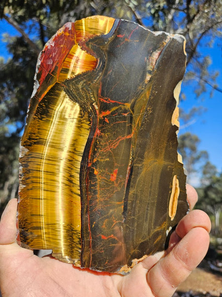 Polished Tiger Eye slab TE489
