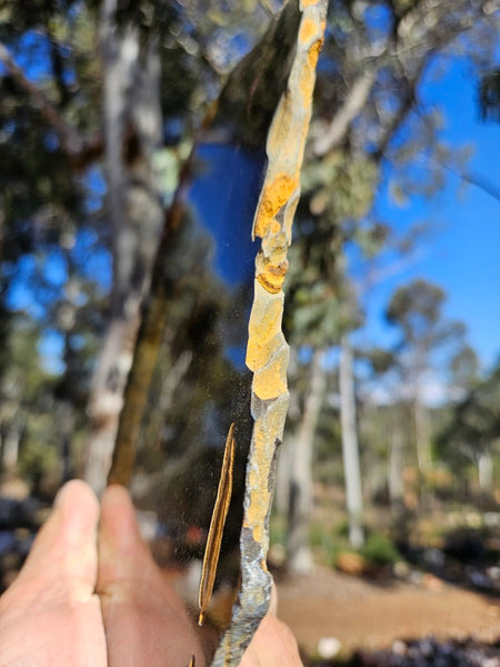 Polished Tiger Eye slab TE489