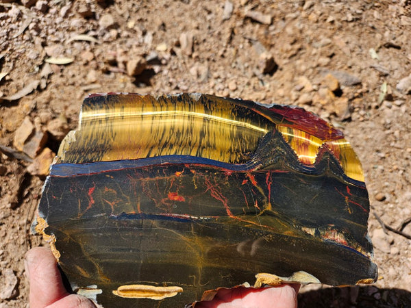 Polished Tiger Eye slab TE489