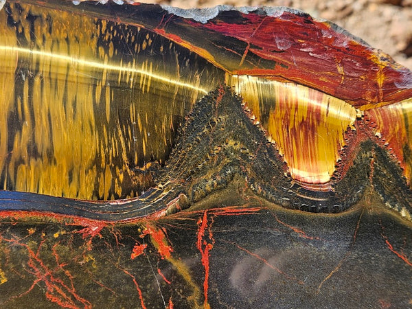Polished Tiger Eye slab TE489