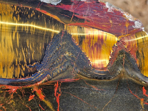 Polished Tiger Eye slab TE489