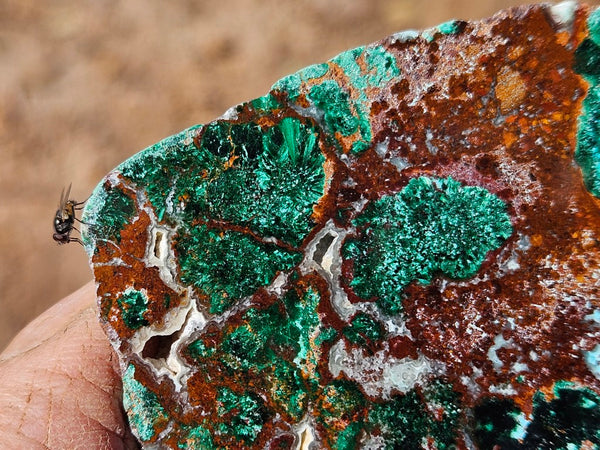 Polished De Grussa copper ore slab CO125