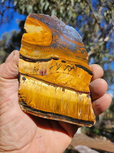 Polished Tiger Eye slab TE488