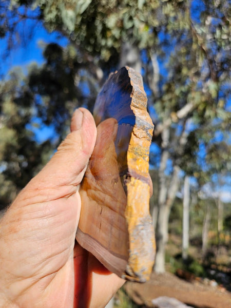 Polished Tiger Eye slab TE488