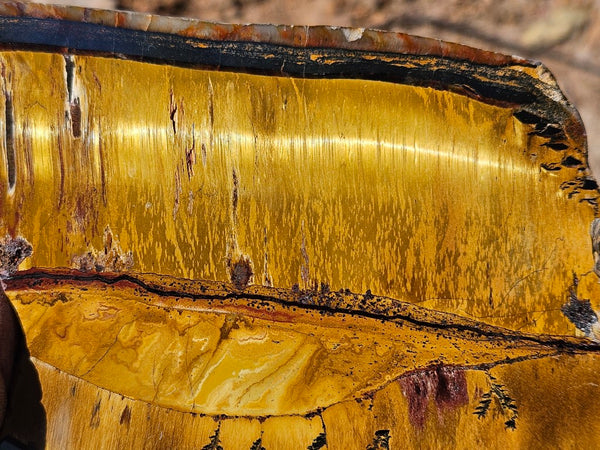 Polished Tiger Eye slab TE488