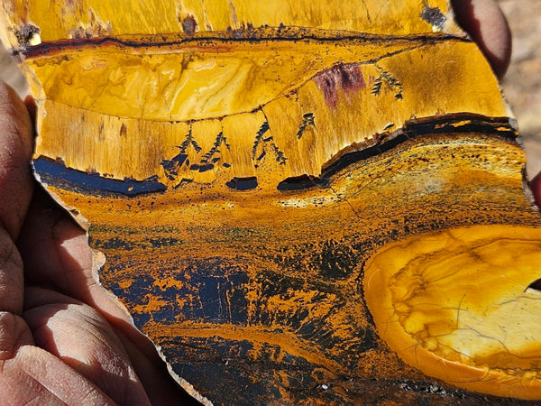 Polished Tiger Eye slab TE488