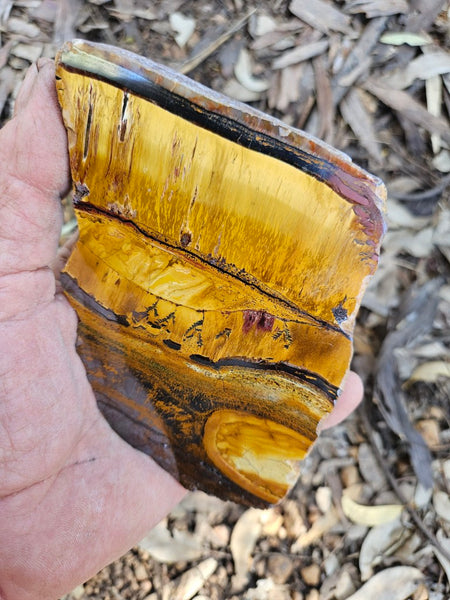 Polished Tiger Eye slab TE488