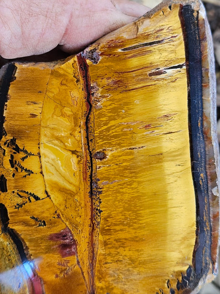 Polished Tiger Eye slab TE488