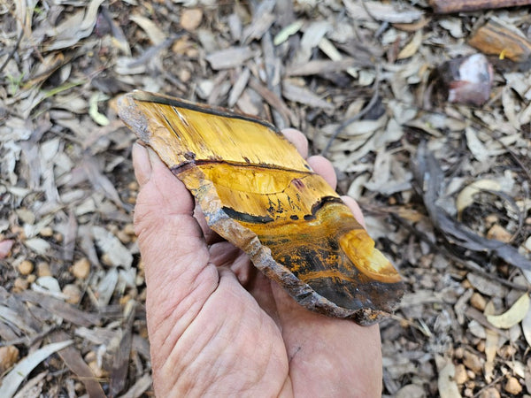 Polished Tiger Eye slab TE488