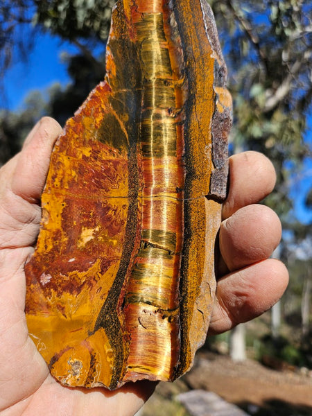 Polished Tiger Eye slab TE487
