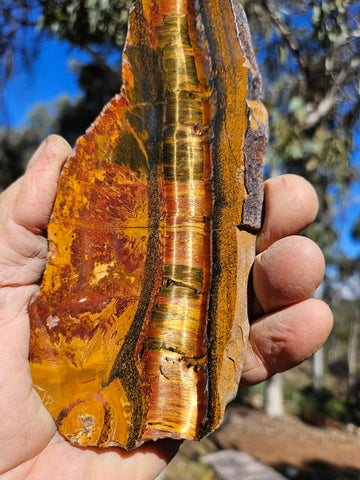 Polished Tiger Eye slab TE487