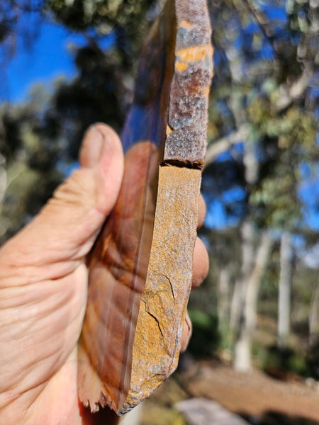 Polished Tiger Eye slab TE487