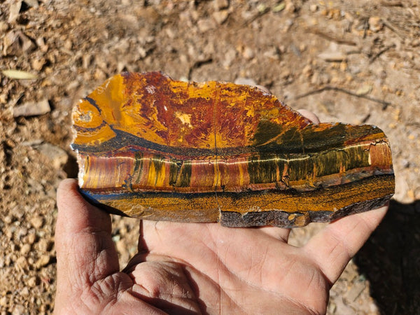 Polished Tiger Eye slab TE487