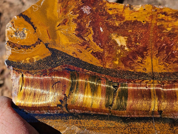 Polished Tiger Eye slab TE487