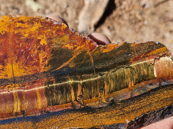 Polished Tiger Eye slab TE487