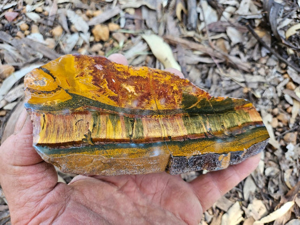 Polished Tiger Eye slab TE487