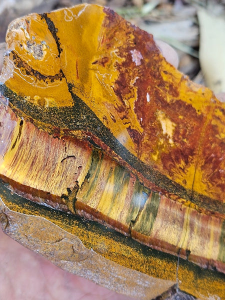 Polished Tiger Eye slab TE487