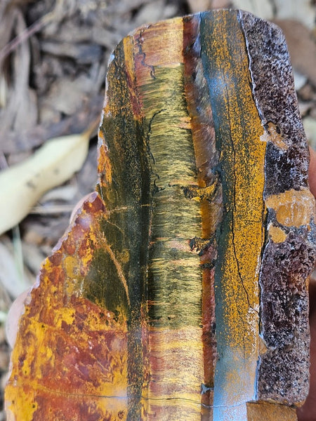 Polished Tiger Eye slab TE487